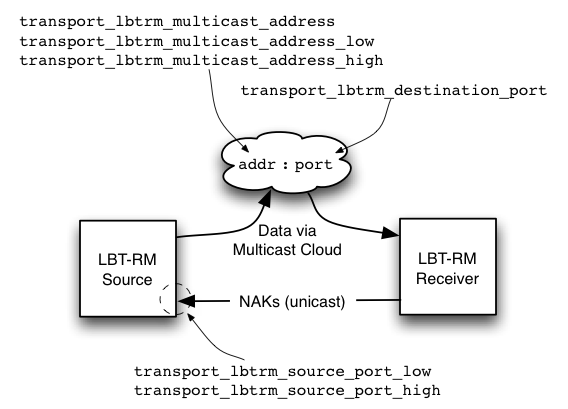 LBT-RM-Network.png
